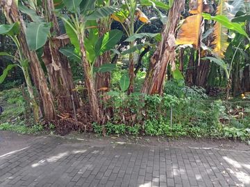 Tanah Pekarangan di Jalan Seturan Area Kampus Ternama