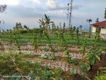 Tanah kemuning ngargoyoso 600m 750jt