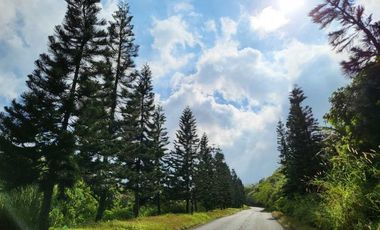 405 SQM LOT FOR SALE IN TAGAYTAY CITY