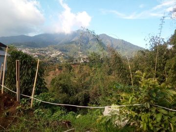 43 Tumbak Tanah, Rumah dan Kandang Sapi, Tugumukti Dekat SPN, Cisarua, Bandung Barat