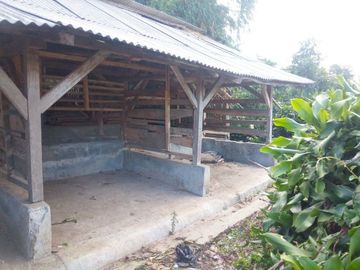 43 Tumbak Tanah, Rumah dan Kandang Sapi, Tugumukti Dekat SPN, Cisarua, Bandung Barat