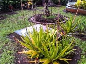 Rumah Dijual di Ciamis Jawa Barat