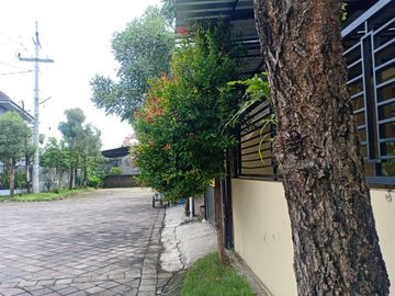 Rumah 2 Lantai Kuning Minimalis di Tegal Besar Jember