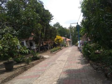 Tanah Murah di Jalan Sardonoharjo Dekat Kampus UII