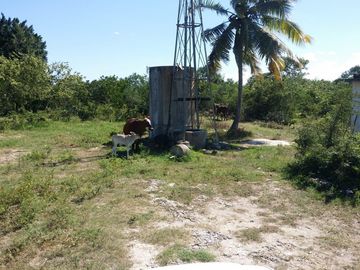 RANCHO EN VENTA, ENTRE PANABA Y SAN FCO., EN YALSIJON, YUCATAN