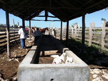 RANCHO EN VENTA, ENTRE PANABA Y SAN FCO., EN YALSIJON, YUCATAN