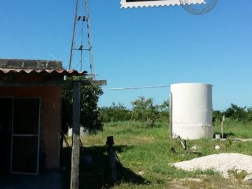 RANCHO EN VENTA, ENTRE PANABA Y SAN FCO., EN YALSIJON, YUCATAN