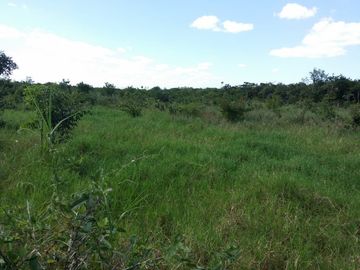 RANCHO EN VENTA, ENTRE PANABA Y SAN FCO., EN YALSIJON, YUCATAN