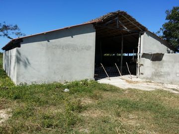 RANCHO EN VENTA, ENTRE PANABA Y SAN FCO., EN YALSIJON, YUCATAN