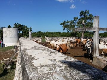RANCHO EN VENTA, ENTRE PANABA Y SAN FCO., EN YALSIJON, YUCATAN