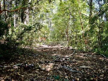 Agrícola en Venta en Camino los lagos
