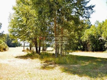 Agrícola en Venta en Camino los lagos