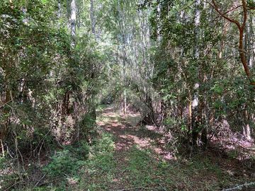 Agrícola en Venta en Camino los lagos
