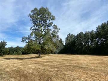 Agrícola en Venta en Camino los lagos