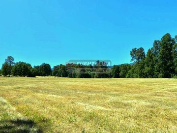 Agrícola en Venta en Camino los lagos