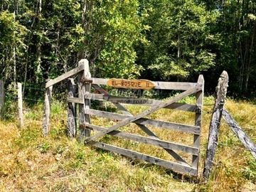 Agrícola en Venta en Camino los lagos