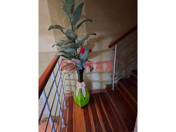 🏡 ¡Descubre tu nuevo hogar en  Chiclayo!

🔑 Esta encantadora casa urbana de 4 pisos espera por ti para llenarla de vida y nuevos recuerdos. Ubicada