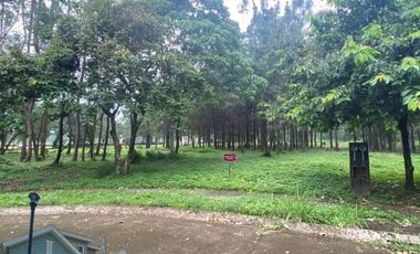 Lot For Sale - Promenade, Santa Rosa