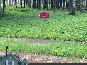Lot For Sale - Promenade, Santa Rosa