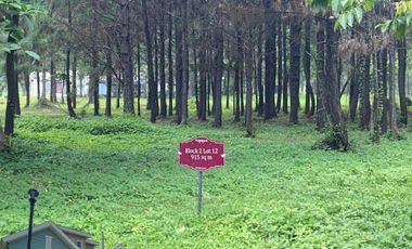 Lot For Sale - Promenade, Santa Rosa