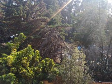 Casa en Venta en Quebrada de Macul