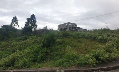 Corner Lot 290 Sqm for Sale in Greenwoods near Talamban Cebu City with Mountain View