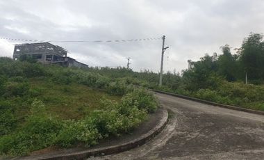 Corner Lot 290 Sqm for Sale in Greenwoods near Talamban Cebu City with Mountain View