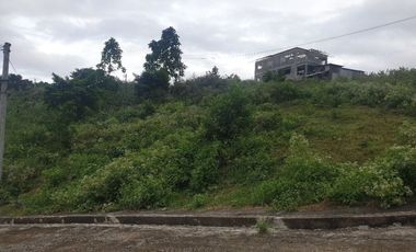 Corner Lot 290 Sqm for Sale in Greenwoods near Talamban Cebu City with Mountain View