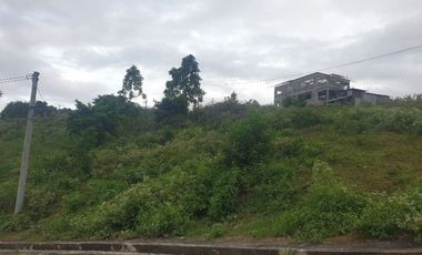 Corner Lot 290 Sqm for Sale in Greenwoods near Talamban Cebu City with Mountain View