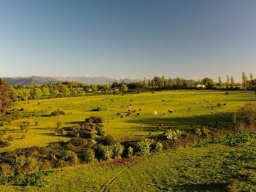 Sitio en Venta en Puente de Lata Río Lircay