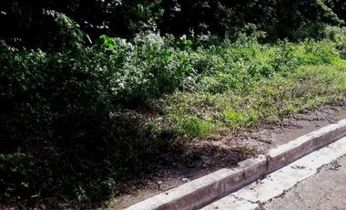197 SQM AFFORDABLE CORNER LOT for Sale in GREENWOODS SUBDIVISION near Talamban Cebu City