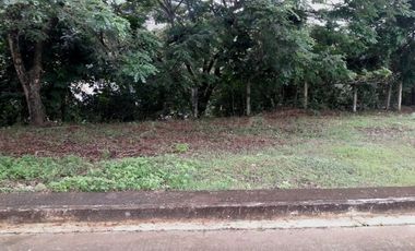 197 SQM AFFORDABLE CORNER LOT for Sale in GREENWOODS SUBDIVISION near Talamban Cebu City