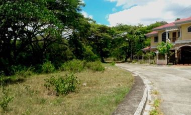 197 SQM AFFORDABLE CORNER LOT for Sale in GREENWOODS SUBDIVISION near Talamban Cebu City