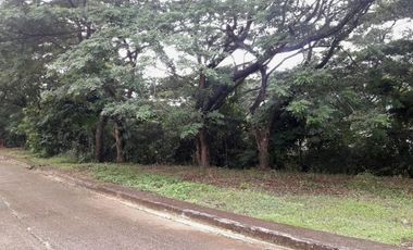 197 SQM AFFORDABLE CORNER LOT for Sale in GREENWOODS SUBDIVISION near Talamban Cebu City