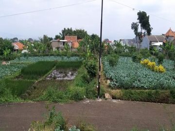 TANAH KAVLING SHM SIAP BANGUN DI GEGERKALONG BANDUNG