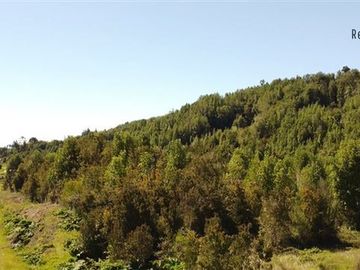 Parcela en venta en Chiloé