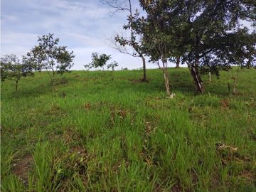 VENTA DE TERRENO EN VERAGUAS PARA GANADERIA