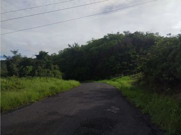 VENTA DE TERRENO EN VERAGUAS PARA GANADERIA