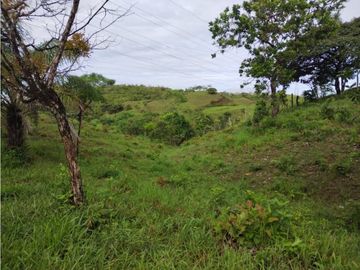 VENTA DE TERRENO EN VERAGUAS PARA GANADERIA