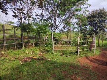 VENTA DE TERRENO EN VERAGUAS PARA GANADERIA