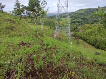VENTA DE TERRENO EN VERAGUAS PARA GANADERIA