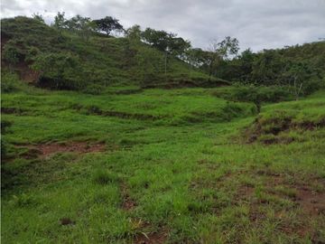 VENTA DE TERRENO EN VERAGUAS PARA GANADERIA