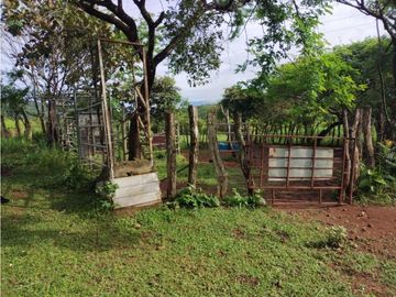 VENTA DE TERRENO EN VERAGUAS PARA GANADERIA