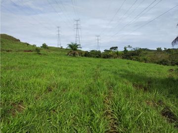 VENTA DE TERRENO EN VERAGUAS PARA GANADERIA