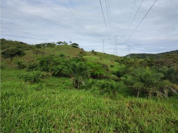 VENTA DE TERRENO EN VERAGUAS PARA GANADERIA