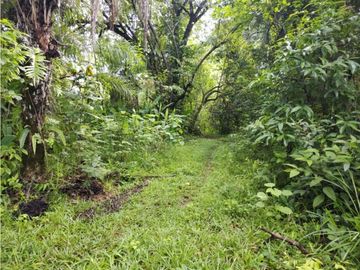 VENTA DE TERRENO EN VERAGUAS PARA GANADERIA