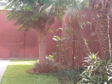 Casas Venta CAL. LOS ALAMOS  - SANTIAGO DE SURCO