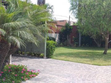 Casas Venta CAL. LOS ALAMOS  - SANTIAGO DE SURCO