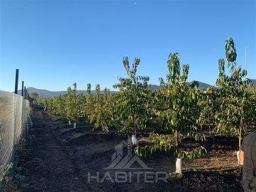 Parcela en Venta en Comalle
