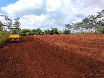 Tanah Dekat Jl. Karanganyar-Doro Pekalongan, SHM, Harga 700 Rb-an